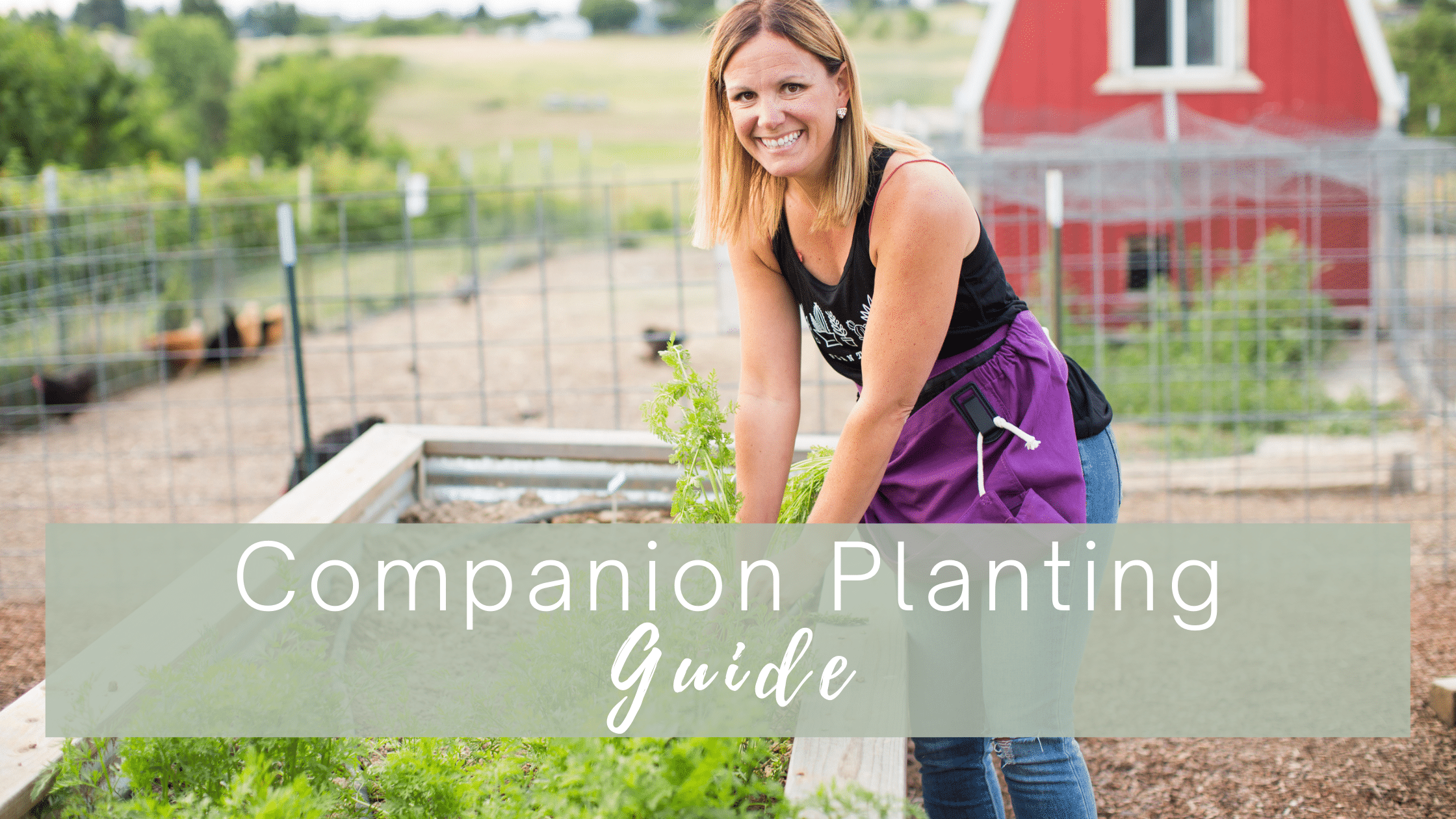 companion planting guide