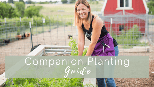 companion planting guide