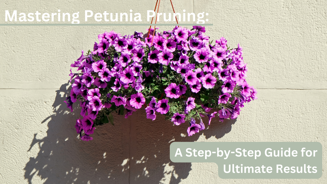Mastering Petunia Pruning: A Step-by-Step Guide for Ultimate Results