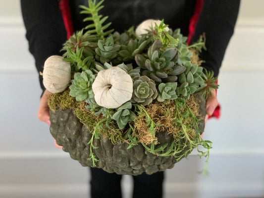 pumpkin succulent centerpiece