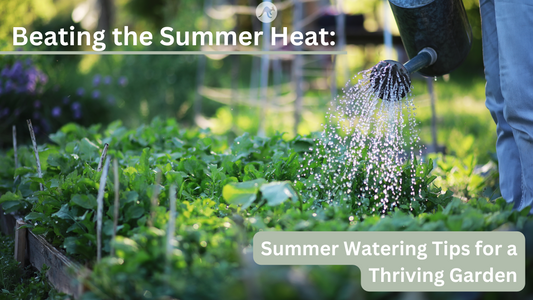 summer watering for your garden