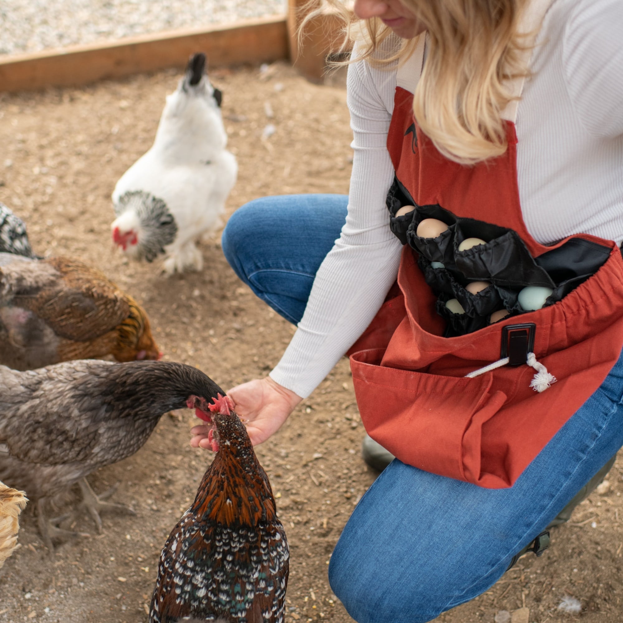 Roo-ster Egg Collecting Apron