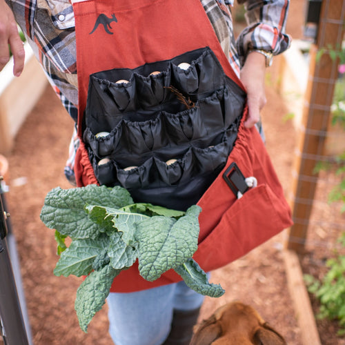 Roo-ster Egg Collecting Apron