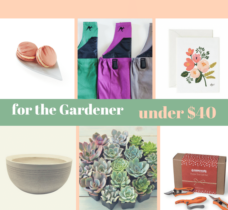 Valentine’s Day Gift Guide for the Gardener Under $40