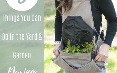 5 Things To Do In The Yard & Garden During Quarantine