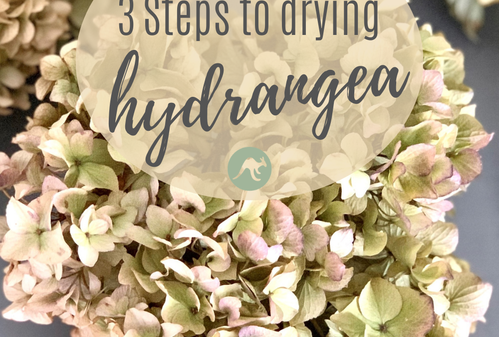 3 Steps To Drying Hydrangea