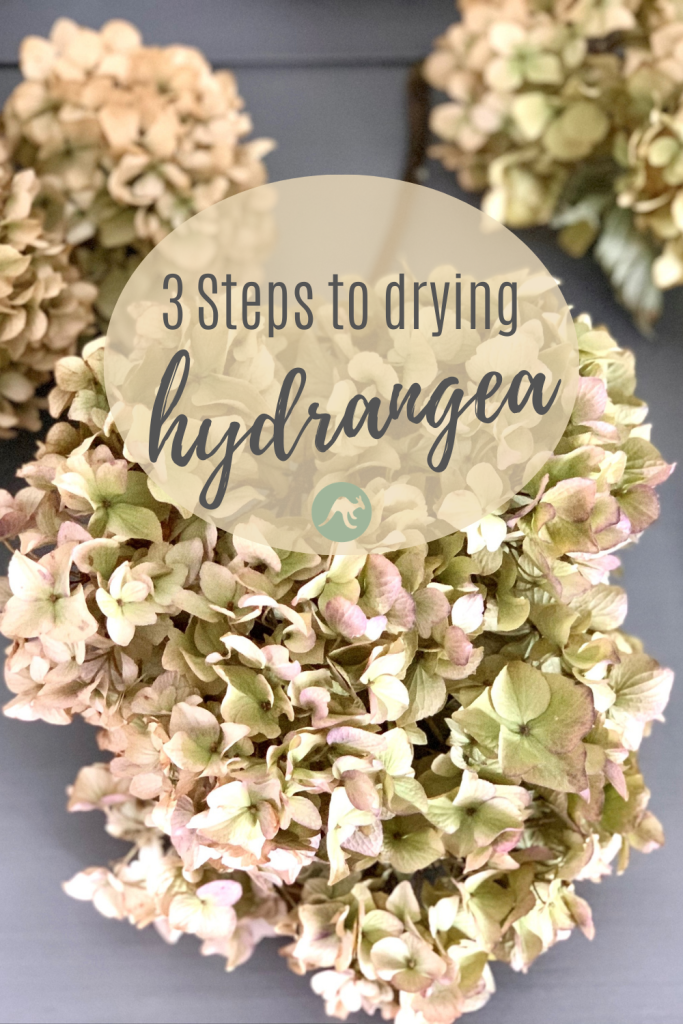 how to dry hydrangea