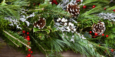 8 Types of Real Greenery to Use In Your Christmas Decor