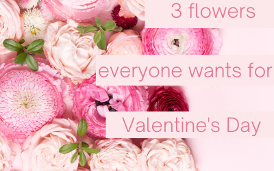 3 Flowers Everyone Wants For Valentine’s Day (…other than roses)