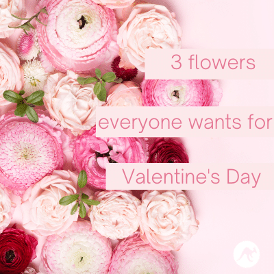 3 Flowers Everyone Wants For Valentine’s Day (…other than roses)