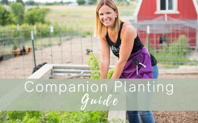 Companion Planting Guide For 7 Popular Vegetables Crops