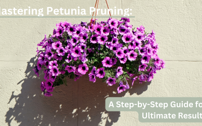 Mastering Petunia Pruning: A Step-by-Step Guide for Ultimate Results