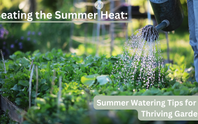 Beating the Heat: Summer Watering Tips for a Thriving Garden