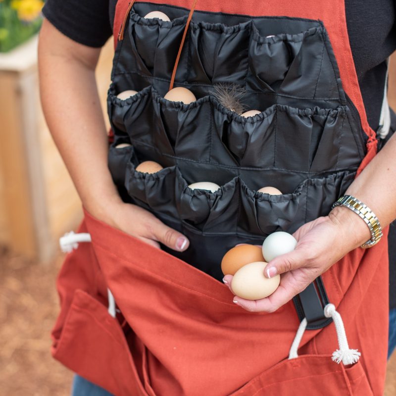 egg collecting apron