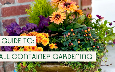 A Guide To Fall Container Gardening