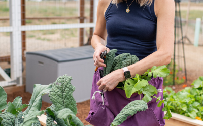 The Garden Goods: Basics And Benefits Of Gardening